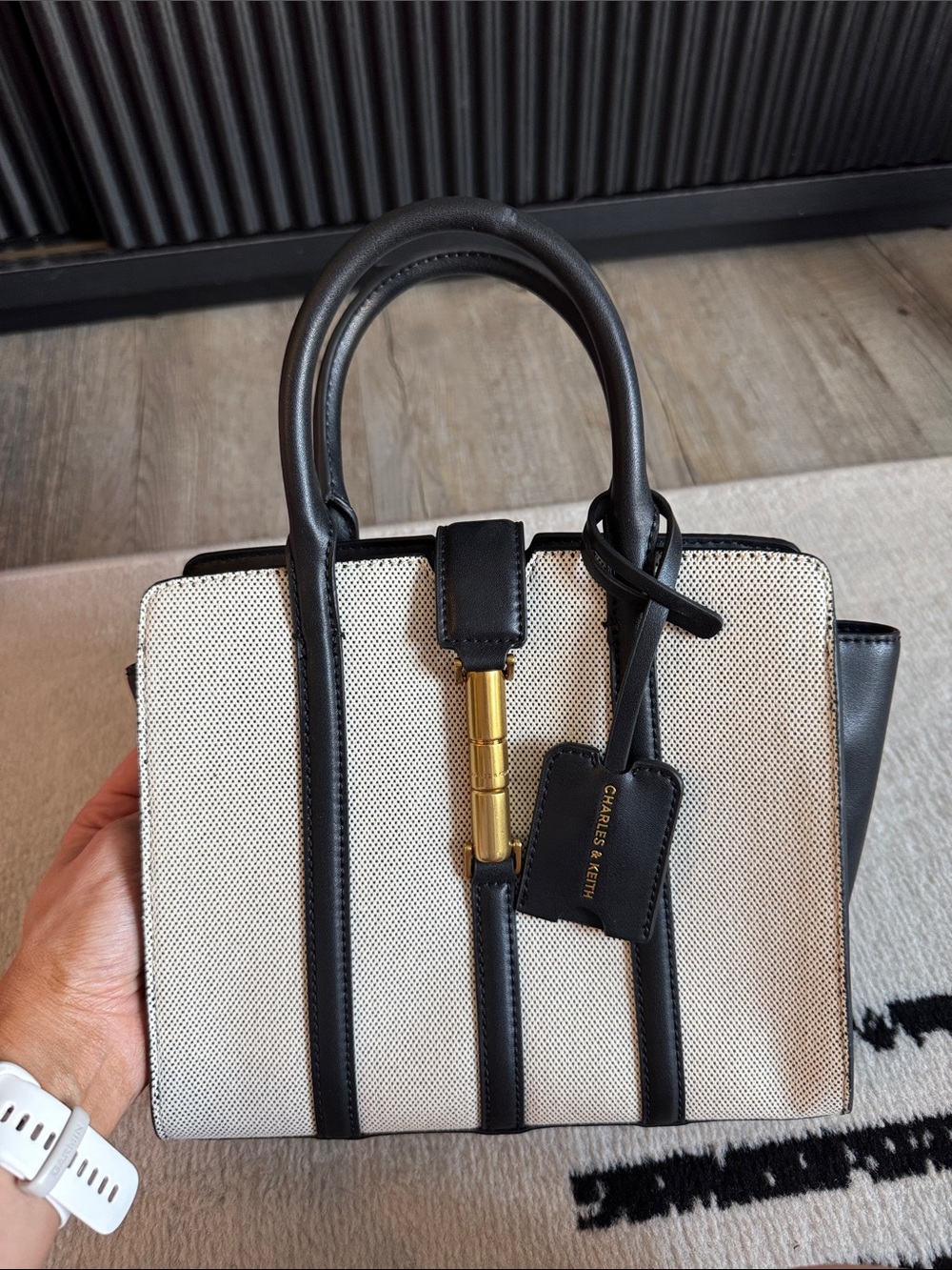 Charles & Keith Cesia Canvas Metallic Accent Bag